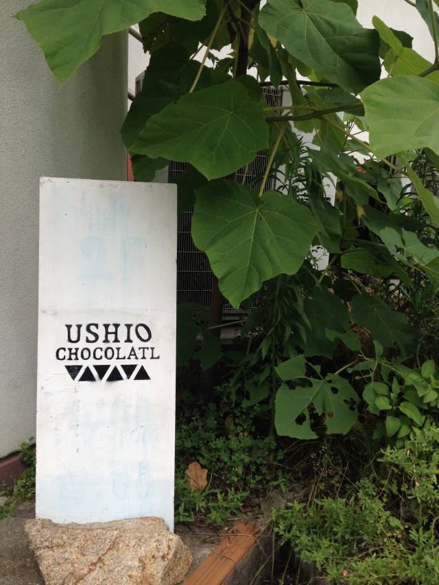 Photo 6-22-27 H, 14 50 41